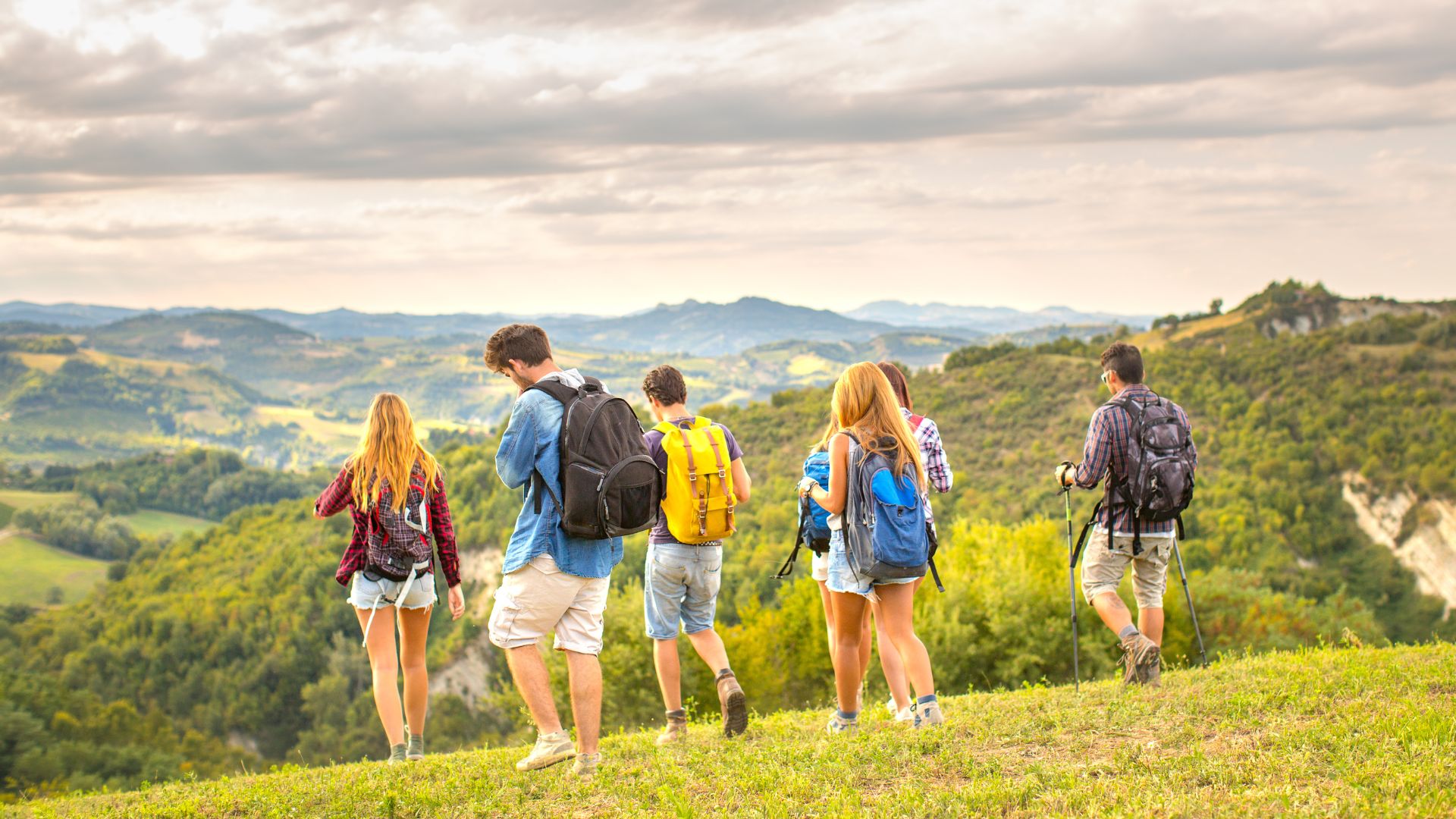 Group Tours travel